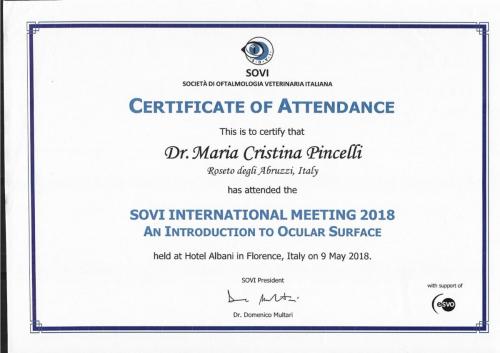 SOVI international meeting 2018