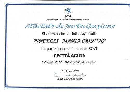 cecità acuta SOVI 2017