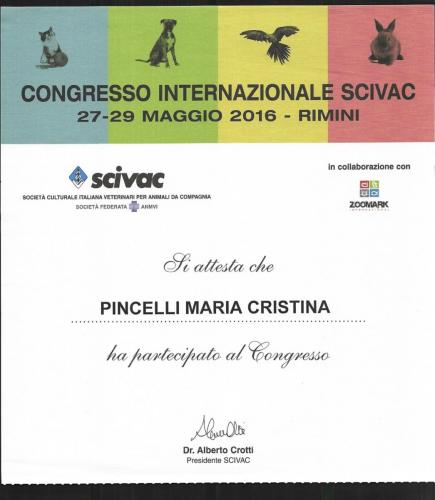 congr. intern. scivac 2016