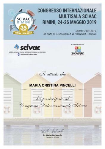 scivac internazionale 2019