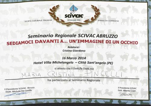 seminario 2014 scivac