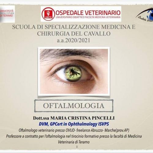 SCUOLA DI SPECIALIZZAZIONE MEDICINA E CHIRURGIA DEL CAVALLO- TERAMO