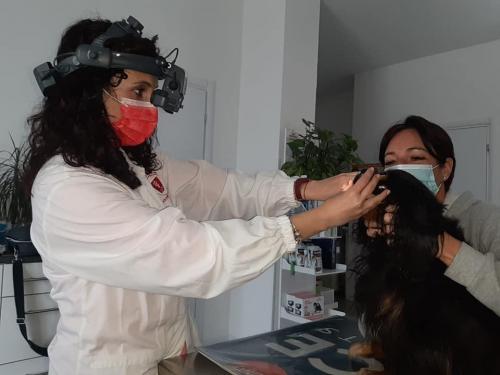 VISITA OCULISTICA CANE 