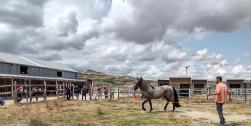 ATTIVITA' PRATICA SCUOLA DI SPECIALIZZAZIONE CAVALLO TERAMO