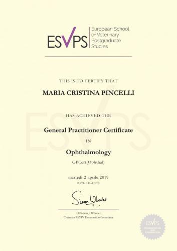 ESVPS certificate General Practitioner Certificate  IN Ophthalmology