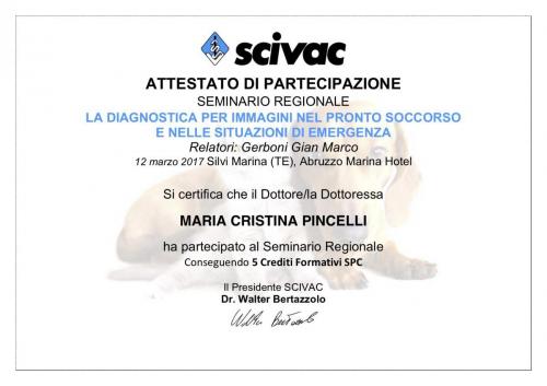 attestato EMERGENZA 2018