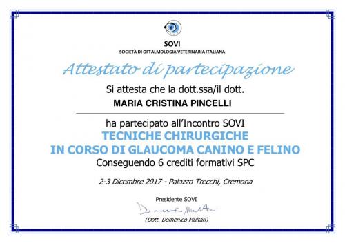 attestato GLAUCOMA2017