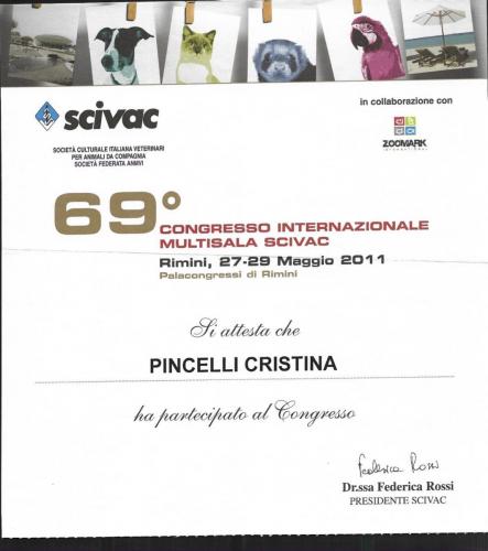 congr.-int.-scivac.-2011