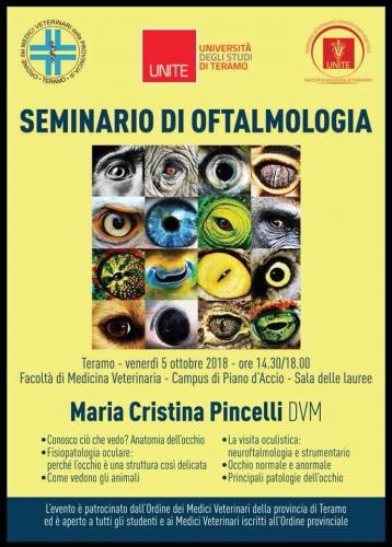 SEMINARIO PINCELLI 2018