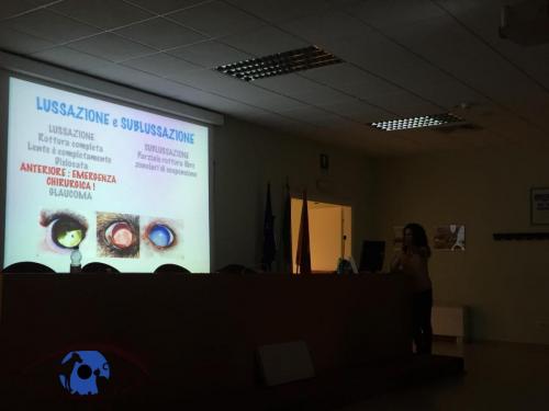 SEMINARIO PINCELLI 2019 FACOLTA' MEDICINA VETERINARIA TERAMO