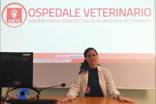 OSPEDALE VETERINARIO UNIVERSITARIO DIDATTICO TERAMO